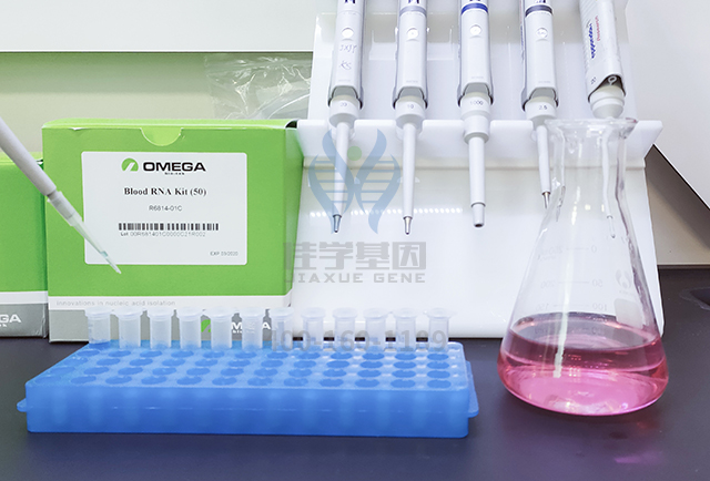 基因解码解决方