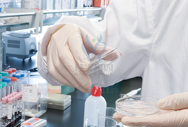 18般才艺学哪般?基因解码答疑难! 18般才艺学哪般?基因解码答疑难!