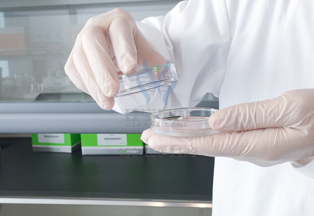 18般才艺学哪般?基因解码答疑难! 18般才艺学哪般?基因解码答疑难!