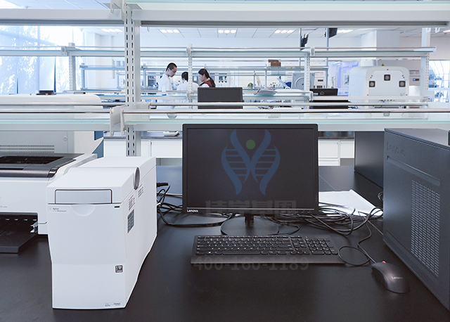 耀眼体育明星升起中陨落,早期基因解码利已利 耀眼体育明星升起中陨落,早期基因解码利已利