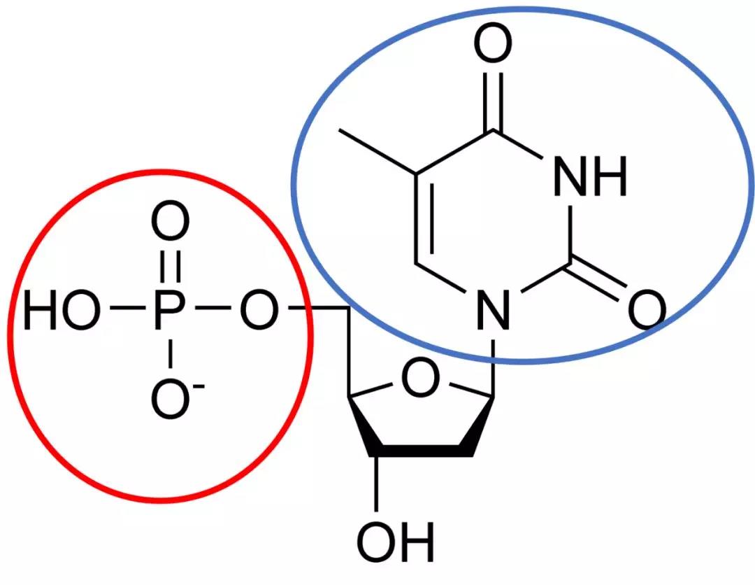 【佳学基因检测】什么是基因检测北斗定位技术? 【佳学基因检测】什么是基因检测北斗定位技术?