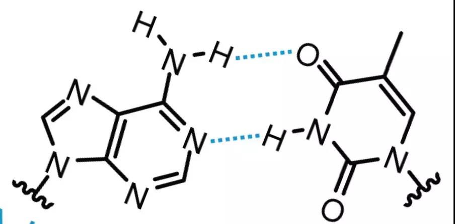 【佳学基因检测】什么是基因检测北斗定位技术? 【佳学基因检测】什么是基因检测北斗定位技术?