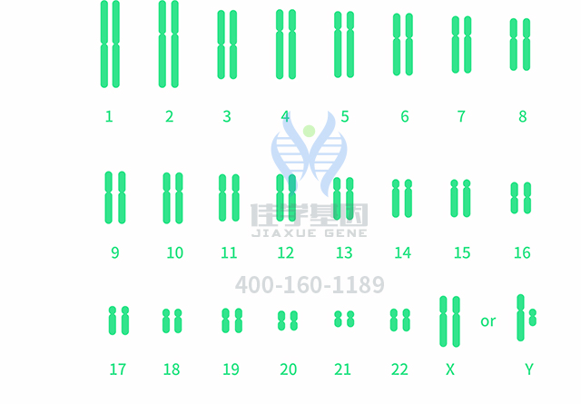 【佳学基因检测】做多发性骨髓瘤t(11:14)型基因检测需要多少钱？