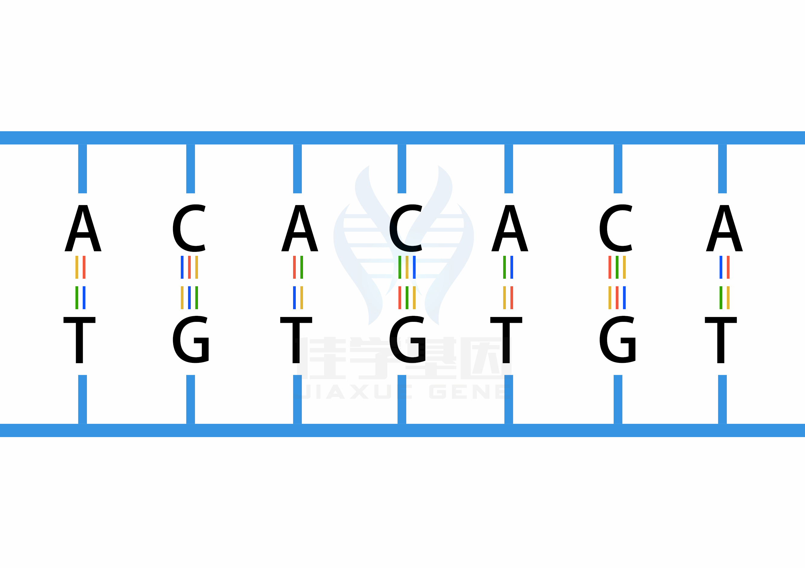 【佳学基因检测】做奥沙西泮的敏感性-其他基因解码、基因检测的费用是多少? 【佳学基因检测】做奥沙西泮的敏感性-其他基因解码、基因检测的费用是多少?