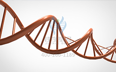 【佳学基因检测
