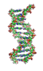 【佳学基因检测】眼皮肤白化病4型基因解码、基因检测的报告有人解读吗？