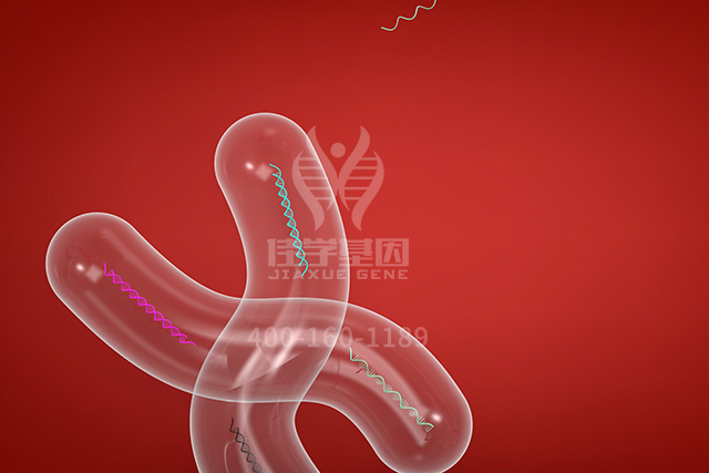 【佳学基因检测】看分子病理检测报告前,需要谙熟于心的ASS1P4知识 【佳学基因检测】看分子病理检测报告前,需要谙熟于心的ASS1P4知识