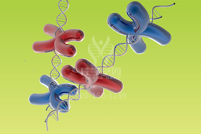 【佳学基因检测】心血管内科分子病理检测考查中关于ATP1B1P1的要点