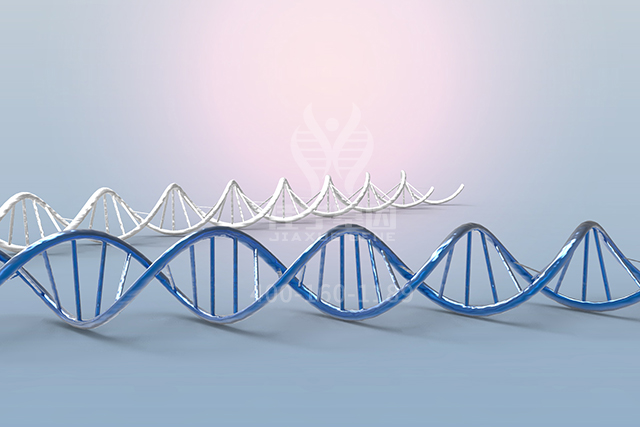 【佳学基因检测】医学博士ARSF分子病理检测的知识结构准备 【佳学基因检测】医学博士ARSF分子病理检测的知识结构准备
