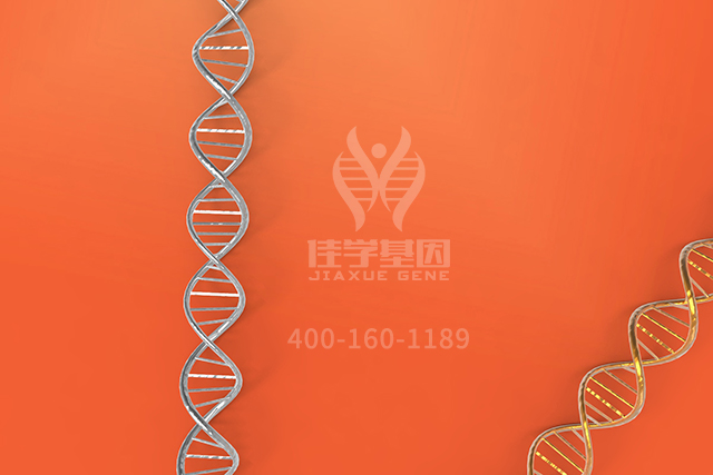 【佳学基因检测】医学院专升本关于NBEAP1分子病理检测的基本技能 【佳学基因检测】医学院专升本关于NBEAP1分子病理检测的基本技能