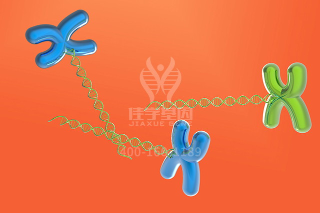 <span style='color:#0033CC'>【佳学基因检测</span>