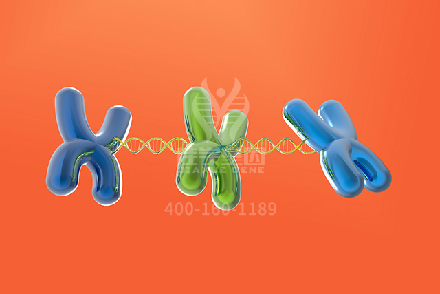 【佳学基因检测】妈妈分子病理检测存在APOF突变，我会受到什么影响？