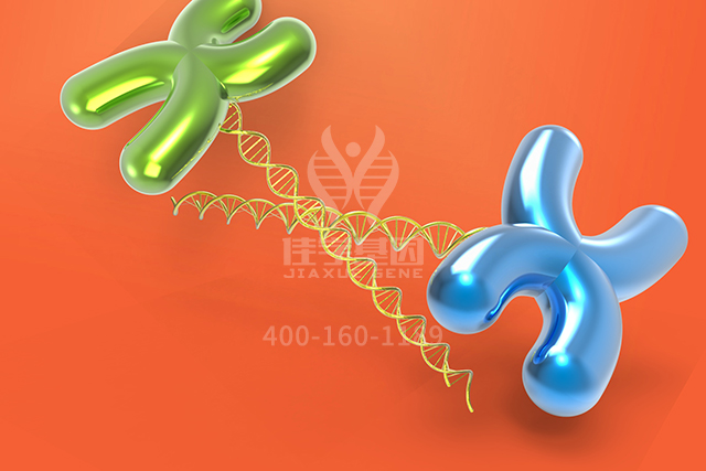 【佳学基因检测】这些关于ART4的内容，是突变检测准确性的必要条件