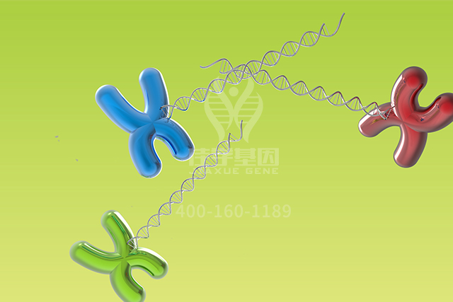 【佳学基因检测】男性生殖遗传学基因检测标准与专家共识