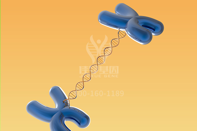 【佳学基因检测】生殖科分子病理检测项目招标中关于ALDH7A1P1的问题及答案 【佳学基因检测】生殖科分子病理检测项目招标中关于ALDH7A1P1的问题及答案