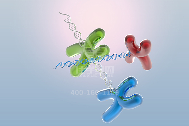 【佳学基因检测】讯飞星火认知大模型中ATP12A突变检测知识信息源分析