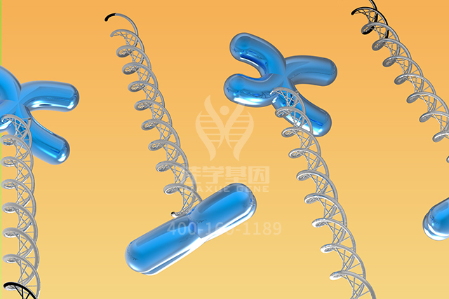 【佳学基因检测】ASLP1基因评估分析应该包括多少位点 【佳学基因检测】ASLP1基因评估分析应该包括多少位点