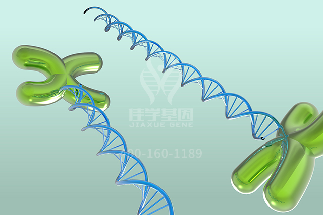 【佳学基因检测】医学院硕士研究考试关于ARSF分子病理检测的知识要点