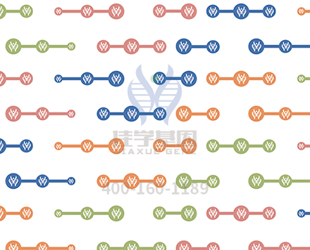 【佳学基因-基因检测】关于“渐冻人症”——肌萎缩性侧索硬化（ALS），你该知道的