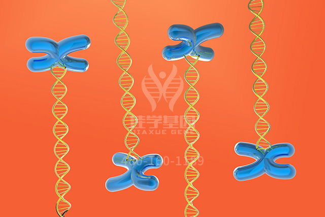 【佳学基因检测】神经科基因分子病理检测项目招标问题中关ASS1P9问题的答案 【佳学基因检测】神经科基因分子病理检测项目招标问题中关ASS1P9问题的答案