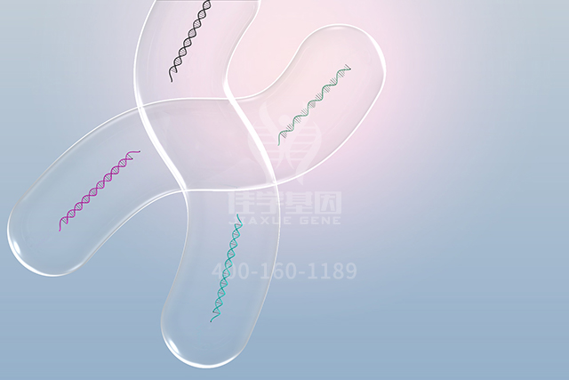 【佳学基因检测】讯飞星火认知大模型中ATP5MC2P1分子病理检测知识信息源分析
