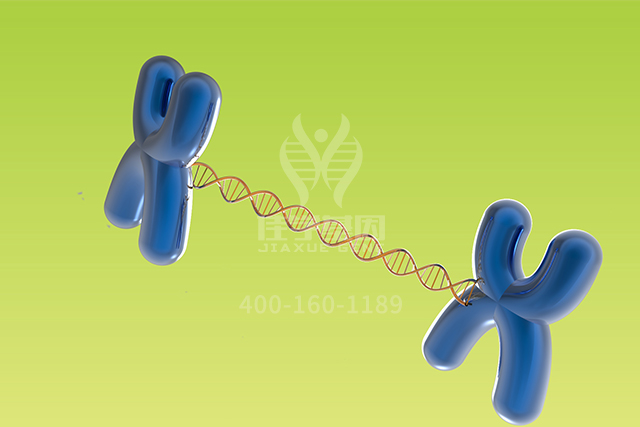 【佳学基因检测】胸外科分子病理检测项目招标为什么要问ASS1P6的内容