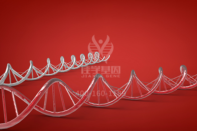 【佳学基因检测】主治医师突变检测ARR3内容要点 【佳学基因检测】主治医师突变检测ARR3内容要点