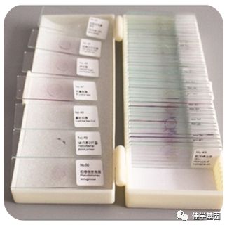 【佳学基因检测】基因检测、基因解码样品采集说明 【佳学基因检测】基因检测、基因解码样品采集说明