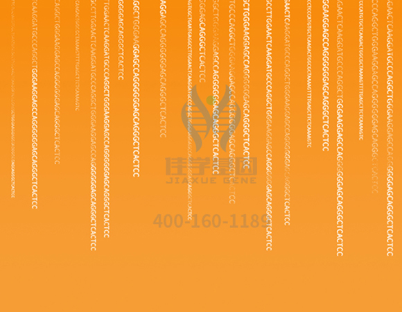 【佳学基因检测】过早脱发、掉发太多怎么办?你的方法可能是错的! 【佳学基因检测】过早脱发、掉发太多怎么办?你的方法可能是错的!