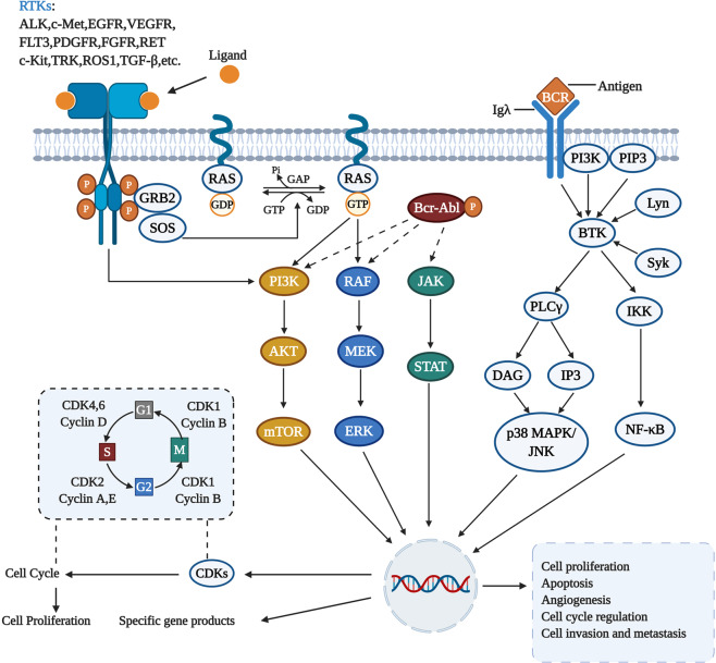【佳学基因检测】肿瘤靶向药物基因检测应包含多少基因？