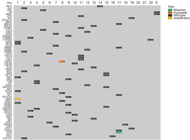 【佳学基因检测】男性原发性肺绒毛膜癌基因检测报告 【佳学基因检测】男性原发性肺绒毛膜癌基因检测报告