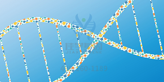 【佳学基因解码-基因检测】这些举动竟让脱发的女孩们重拾自信！