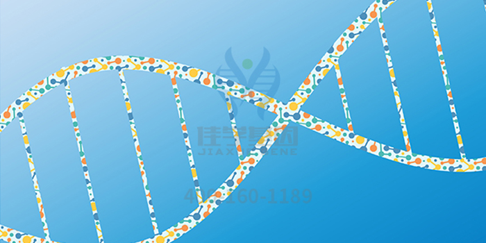 【佳学基因检测】破解DCC基因突变后，可以知道哪些秘密信息？