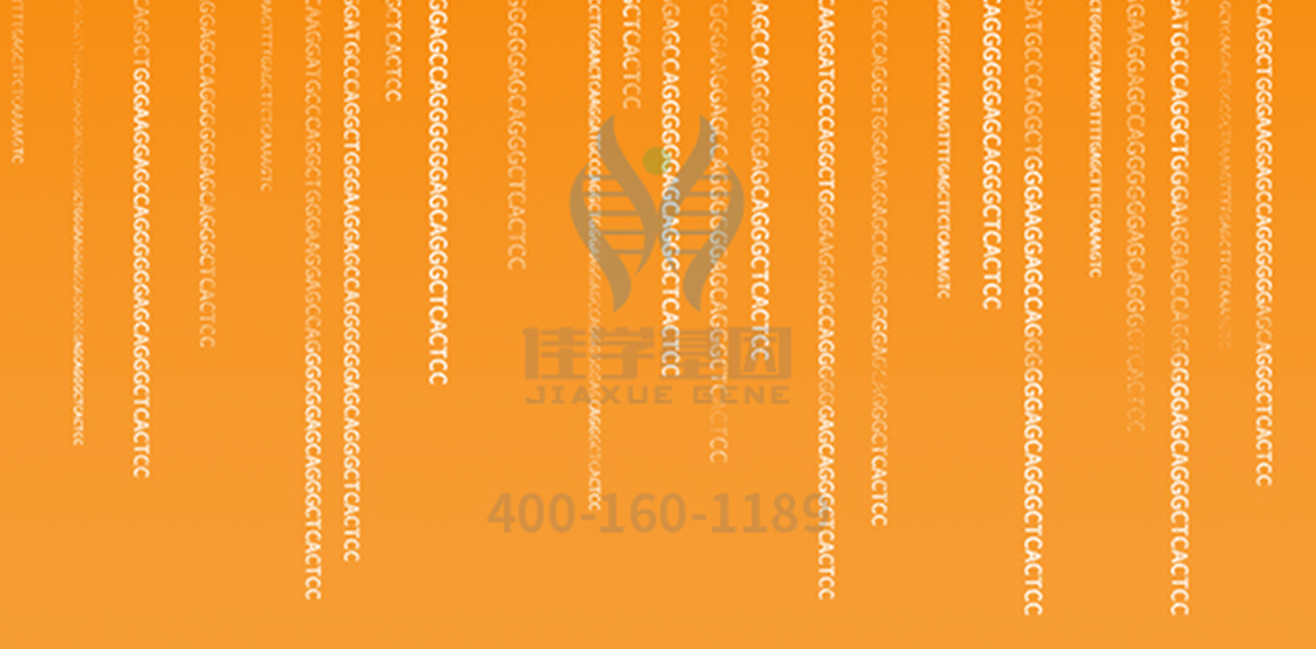 【佳学基因检测】解密DKC1基因检测结果,如何指导一个的健康? 【佳学基因检测】解密DKC1基因检测结果,如何指导一个的健康?