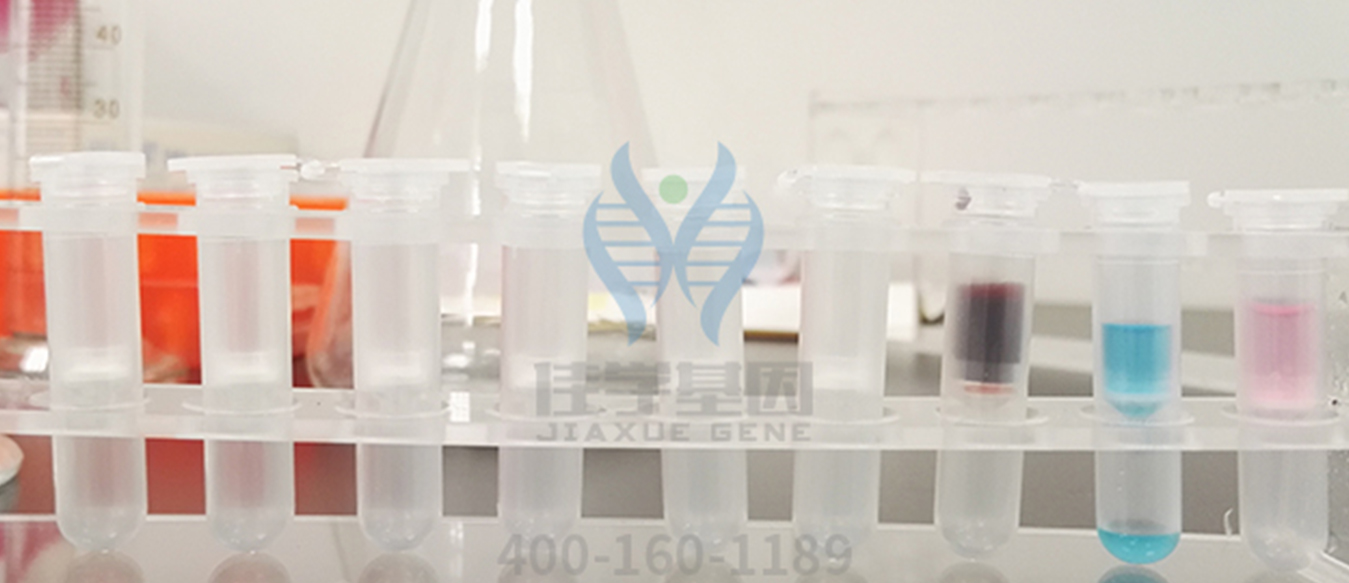 【佳学基因检测】领了结婚证，基因检测CYP27A1有突变，该告诉她吗？