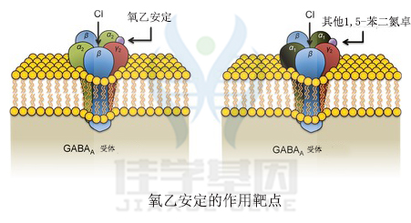 【佳学基因检测】临床医学硕士关于ADAM3B基因测试的必备内容