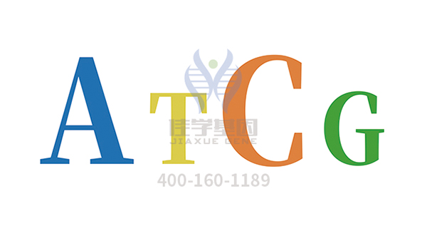 【佳学基因检测】工作记忆力基因解码基因检测