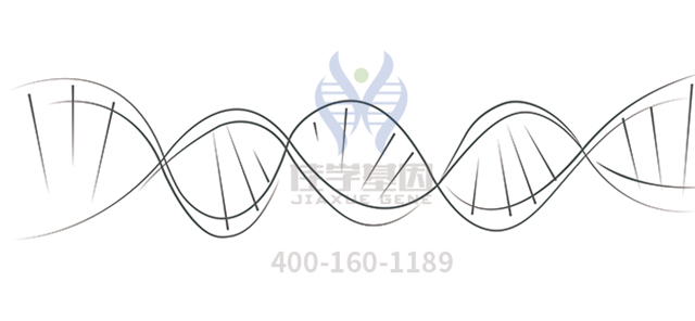 【佳学基因-基因检测】情商基因解码