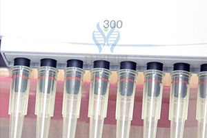 【佳学基因检测】操作智商基因解码基因检测
