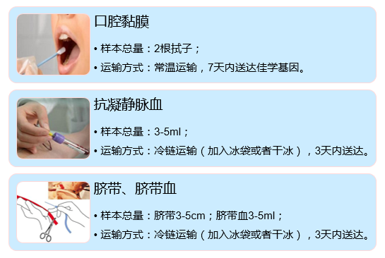 【佳学基因-基因检测】避错能力基因检测 【佳学基因-基因检测】避错能力基因检测