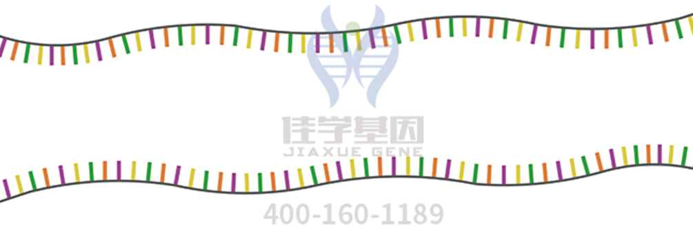 【佳学基因检测】社交能力基因解码、基因检测