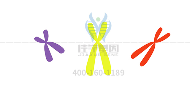 【佳学基因检测】避错能力基因解码基因检测