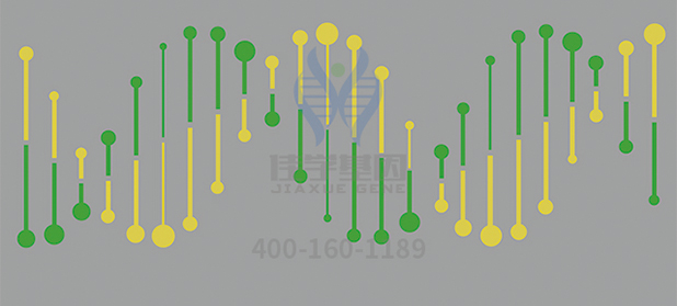【佳学基因-基因检测】父母均正常,为什么孩子会患上“瓷娃娃”——成骨不全症? 【佳学基因-基因检测】父母均正常,为什么孩子会患上“瓷娃娃”——成骨不全症?