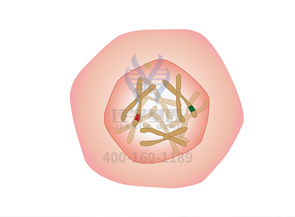 【佳学基因-基因