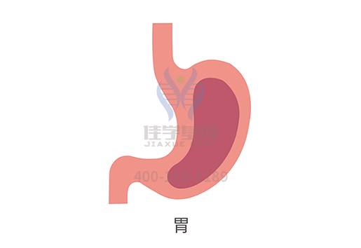 【佳学基因检测】弥漫型胃癌基因解码、基因检测