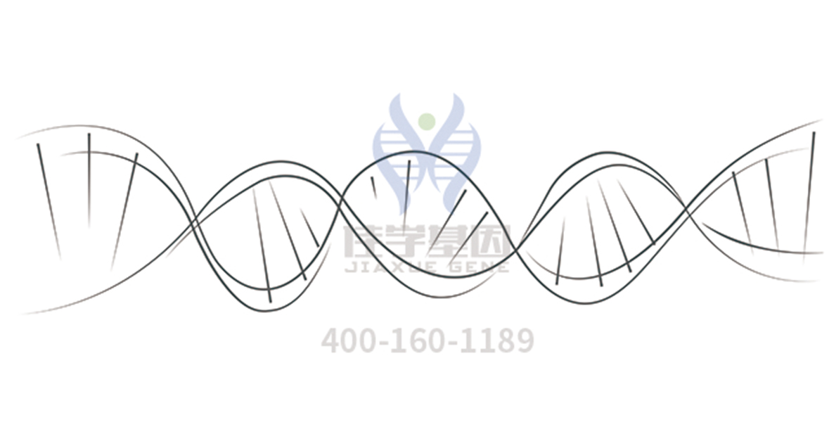 【佳学基因解码-基因检测】基因检测可以知晓影响老年生活的阿尔茨海默病的患病风险吗? 【佳学基因解码-基因检测】基因检测可以知晓影响老年生活的阿尔茨海默病的患病风险吗?