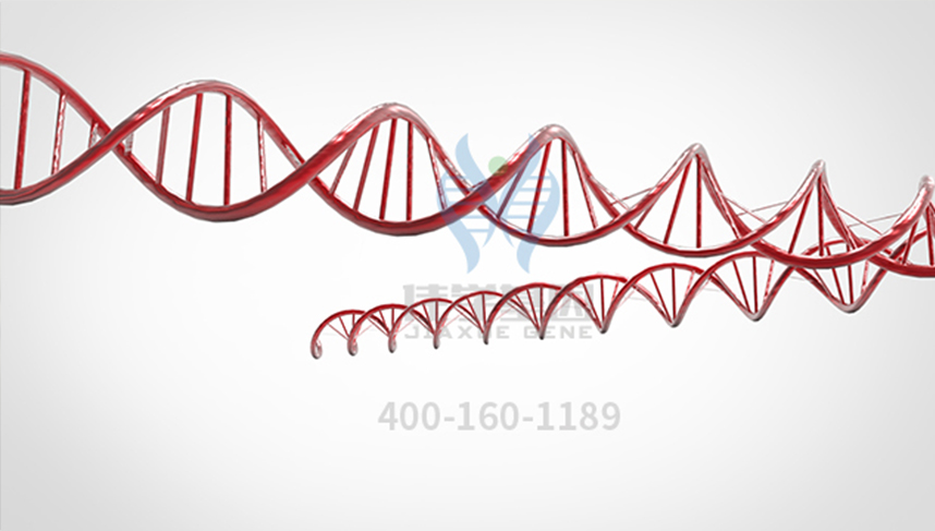 【佳学基因-基因检测】还在为皮肤问题苦恼吗？基因可以重建皮肤啦！