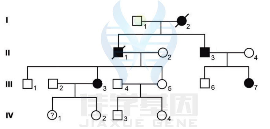 【案例报导】眼前段发育不良基因解码、基因检测