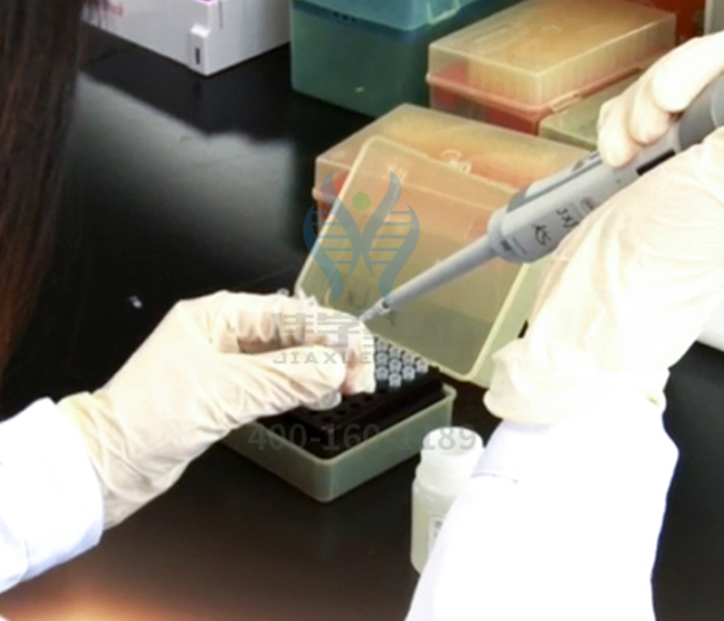 【佳学基因检测