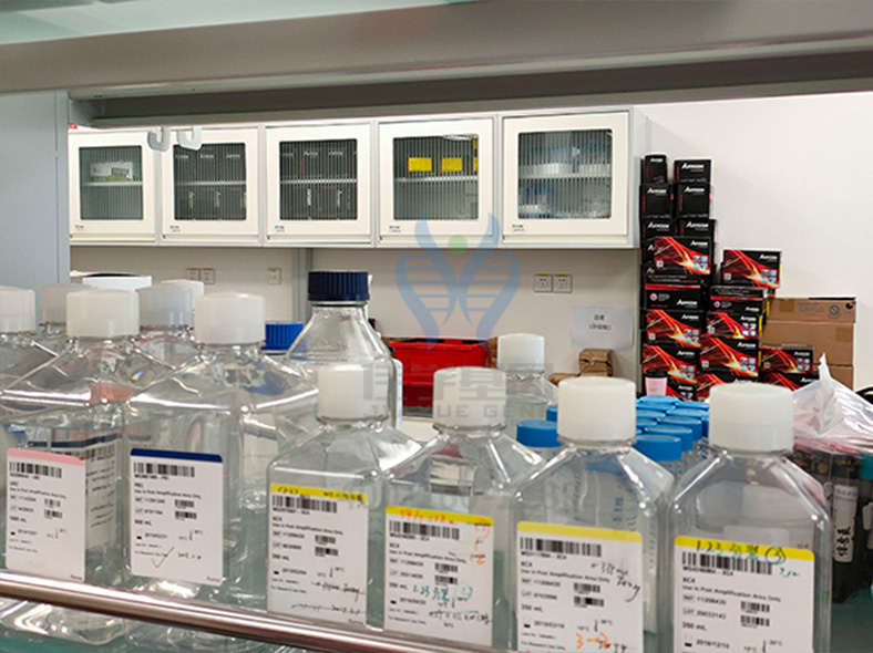 【佳学基因-基因检测】为什么有的人手指可以向后弯曲很大的角度? 【佳学基因-基因检测】为什么有的人手指可以向后弯曲很大的角度?